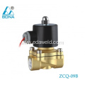 Brass 220V Welder Gas Solenoid Valve